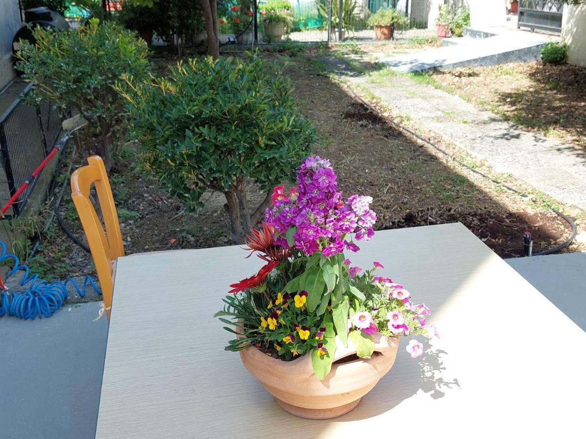 Sonia Casa vacanze La Canea